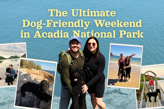 The Ultimate Dog-Friendly Weekend in Acadia National Park