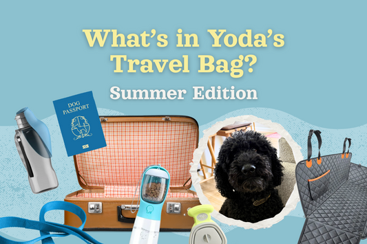 🌞 What’s in Yoda’s Travel Bag? Summer Edition