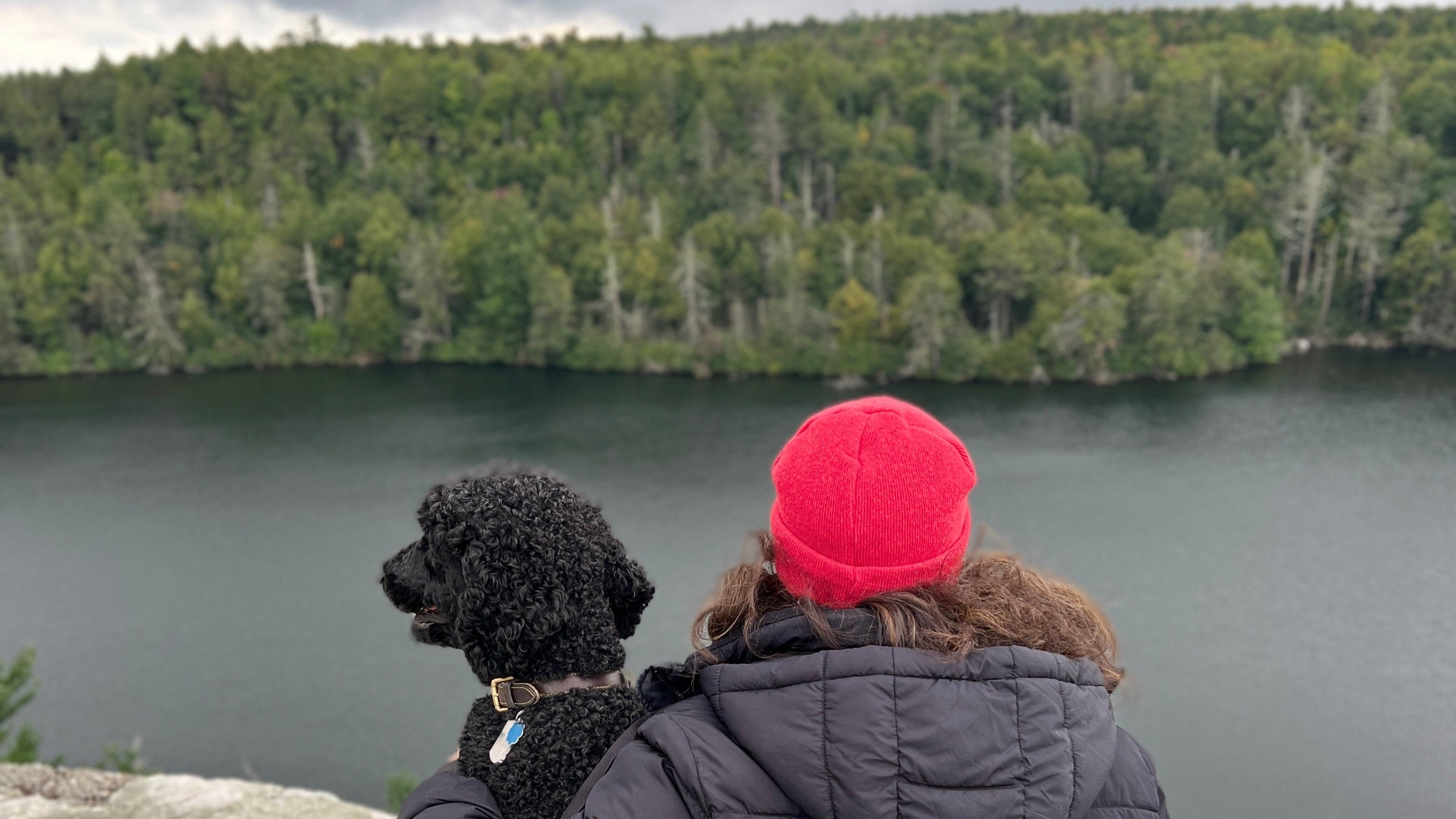 Traveling Together, Made Simple